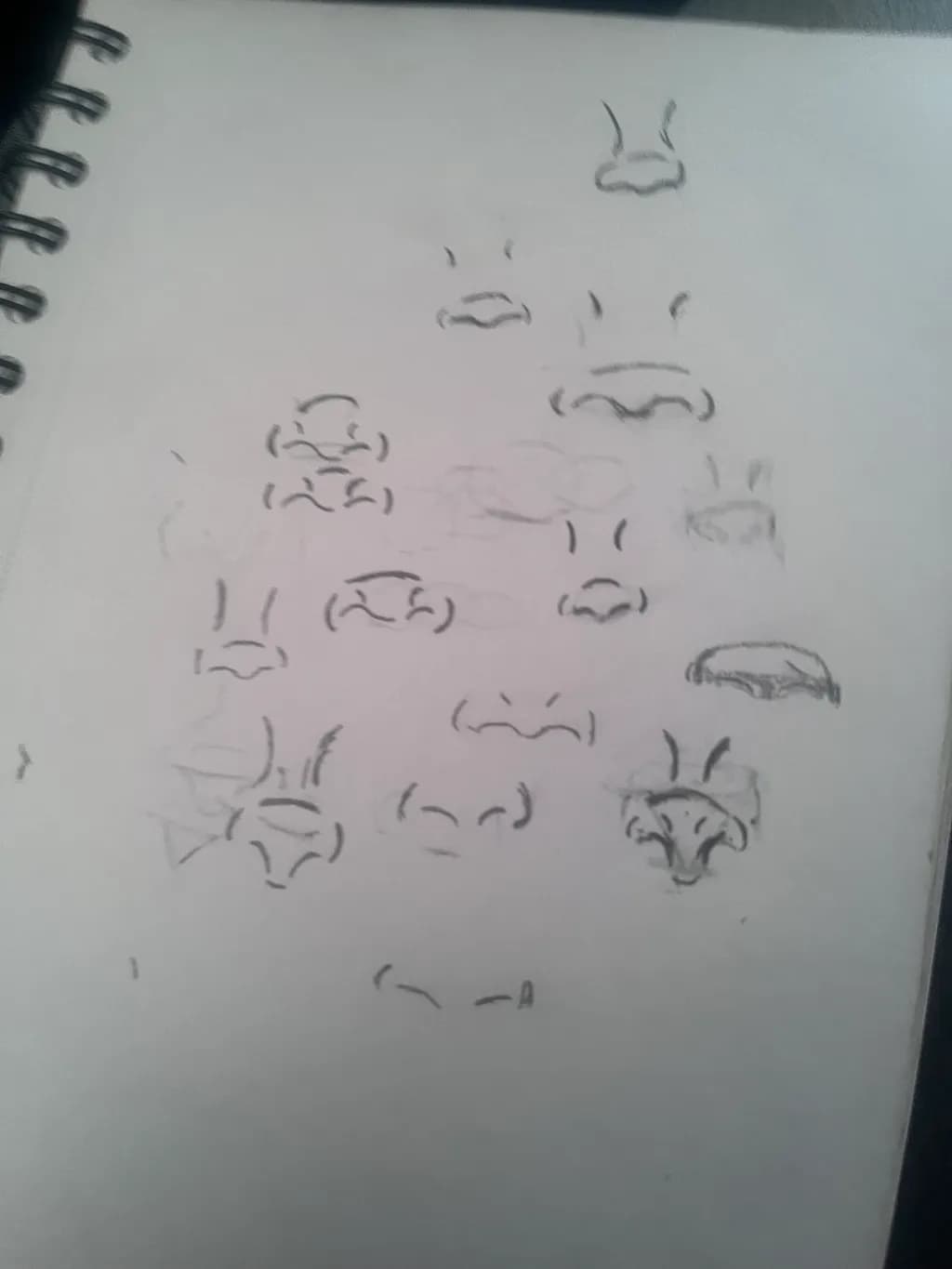 Nose Study Variations