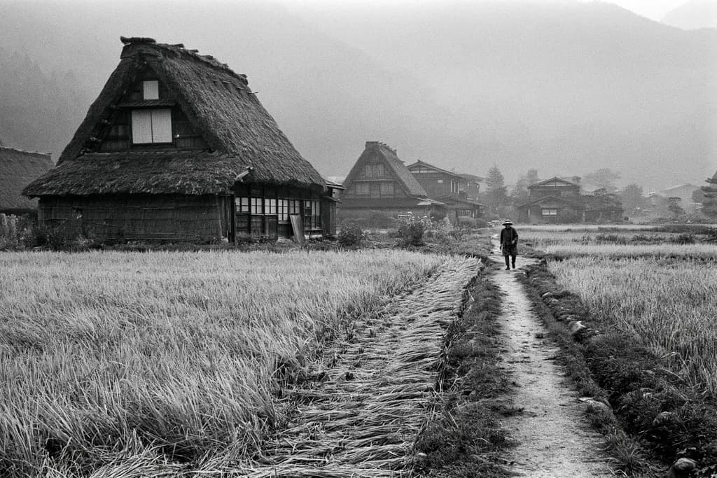Harvest Path