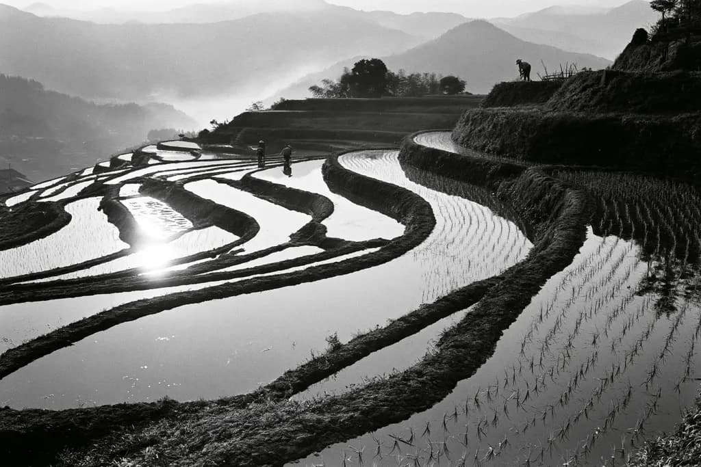 Terraced Reflections