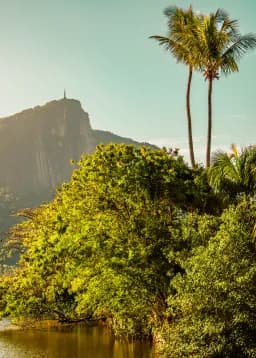 Tropical Summit Glow