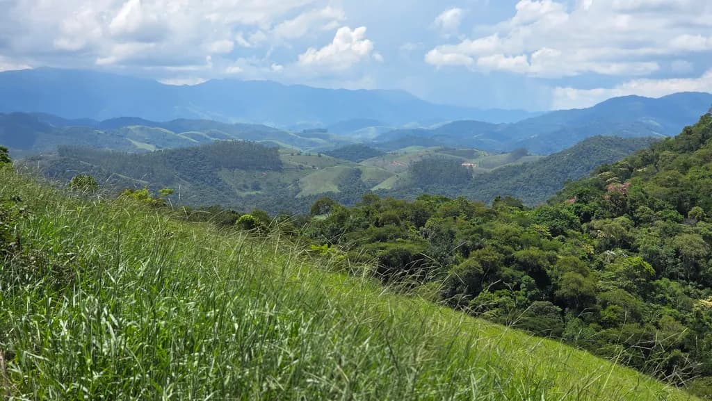 Green Horizons