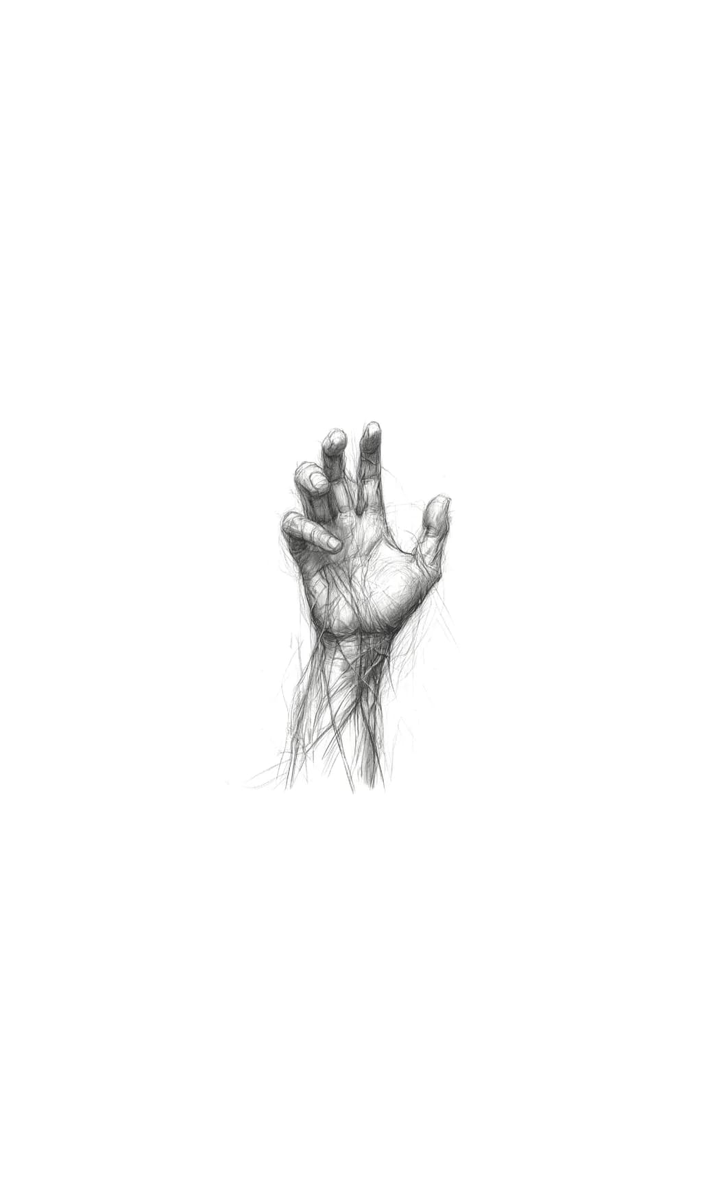 Sketched