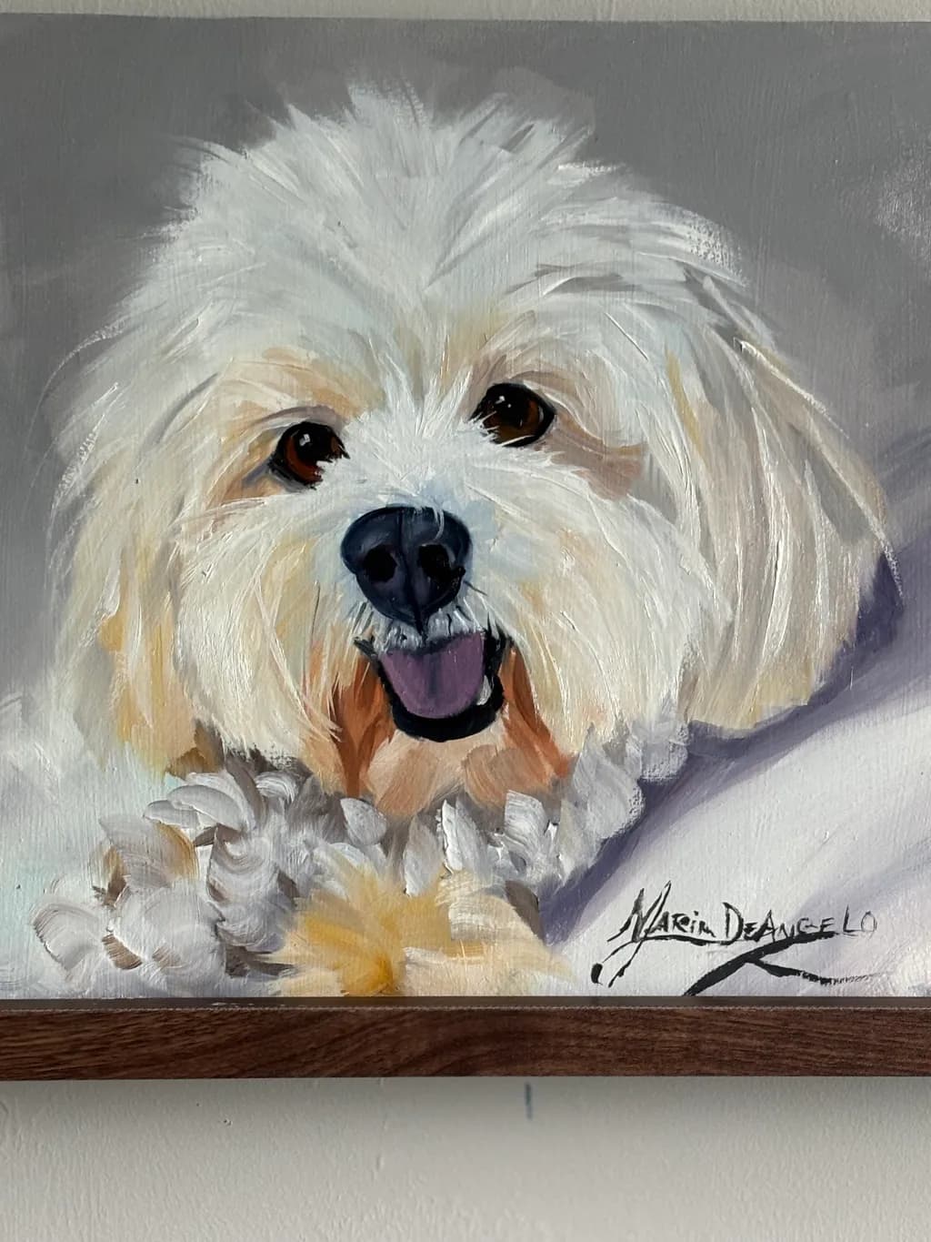 Joyful Fluff