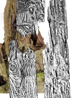 Fragmented Grain