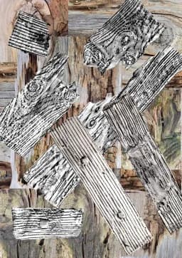 Fragmented Grain Patterns