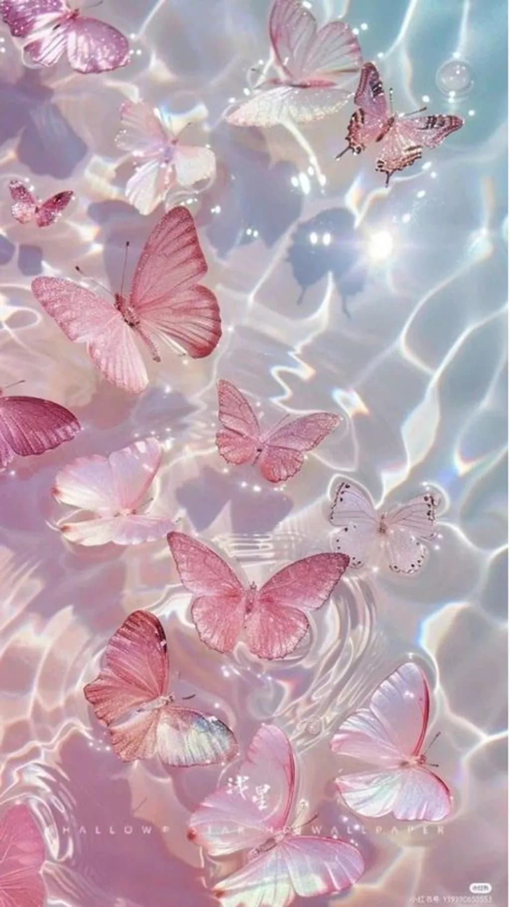Pink Rippled Wings
