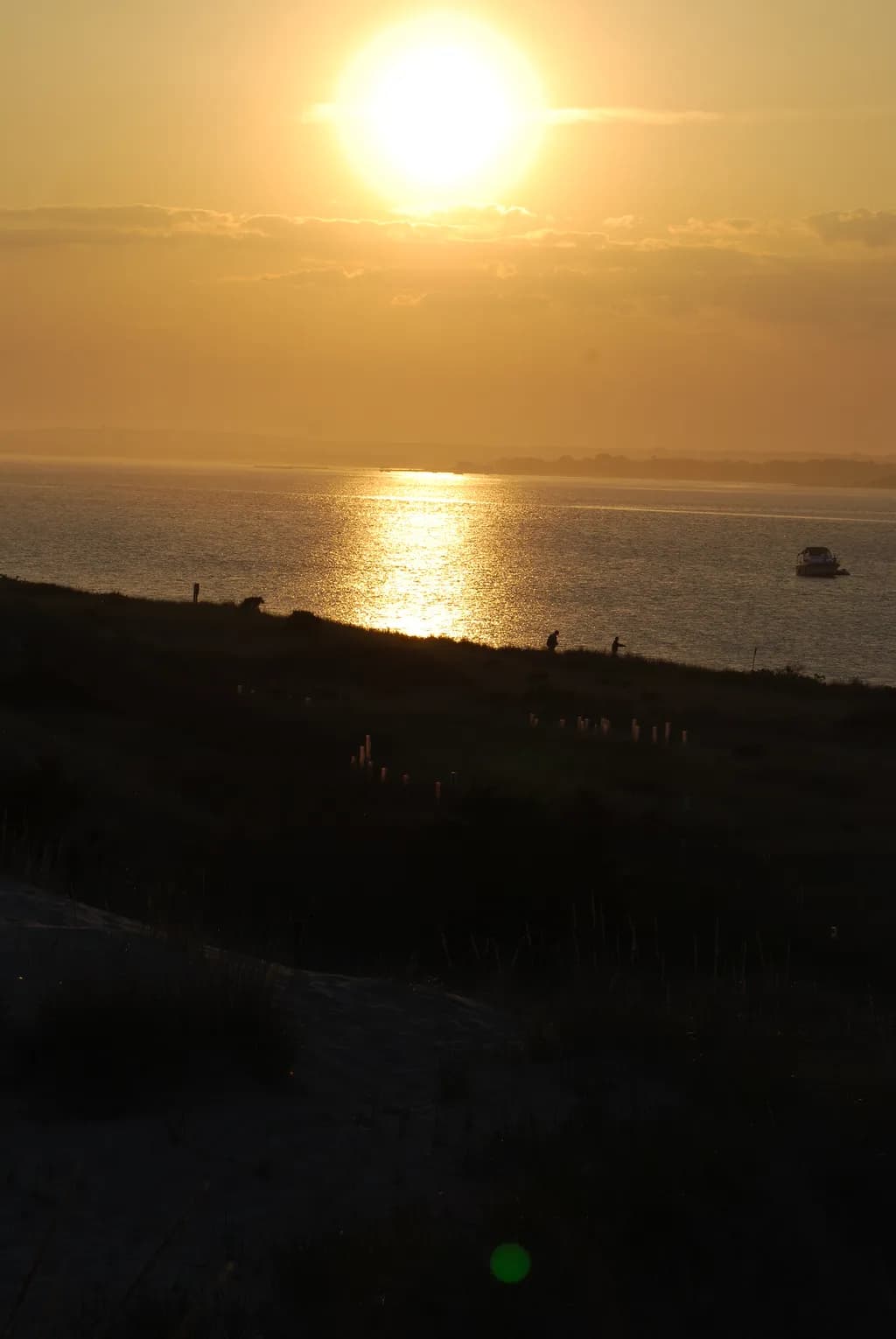 Golden Horizon Reflection