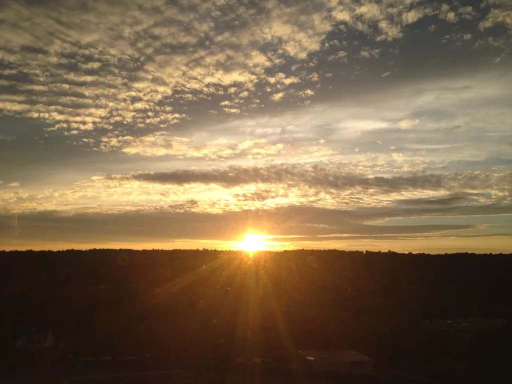 Golden Horizon
