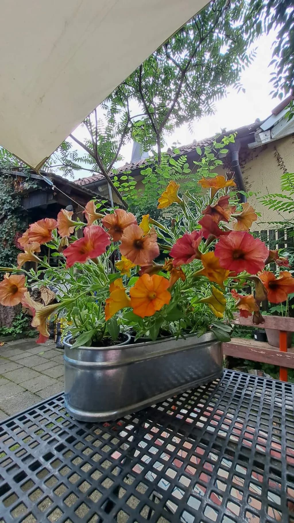 Industrial Bloomscape
