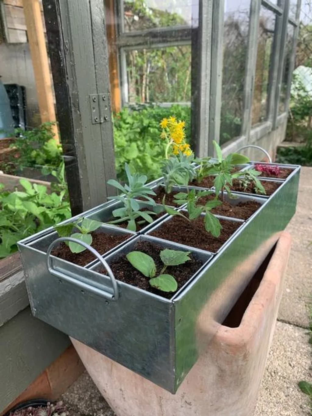 Galvanized Garden Grower