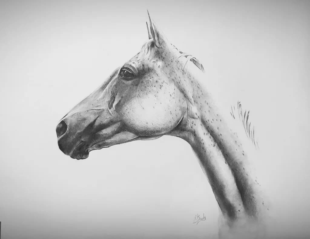 Equine Profile