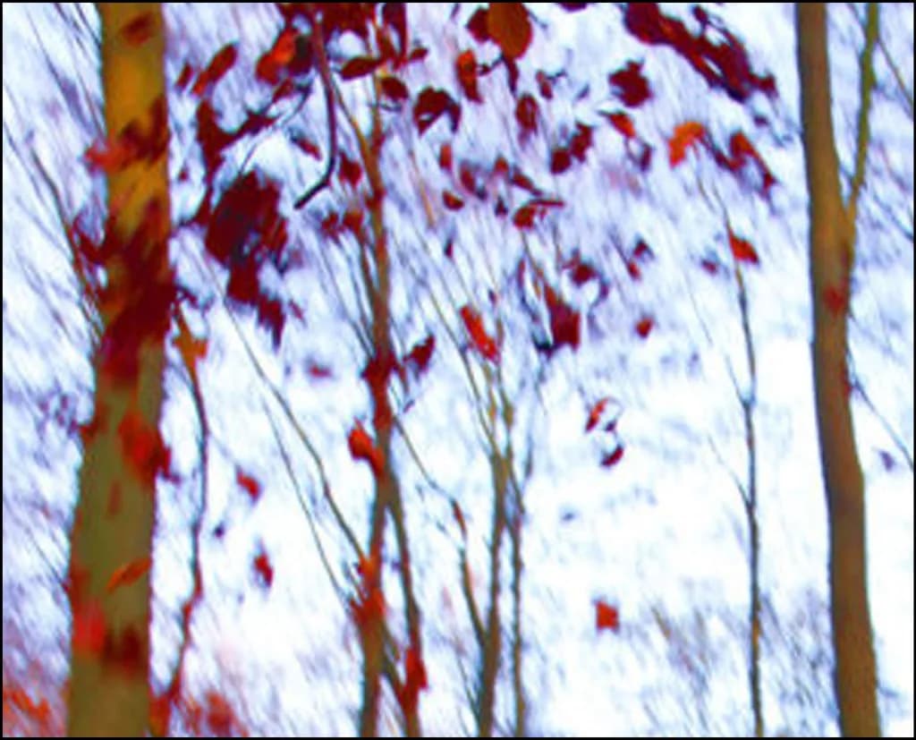 Herfst Drift