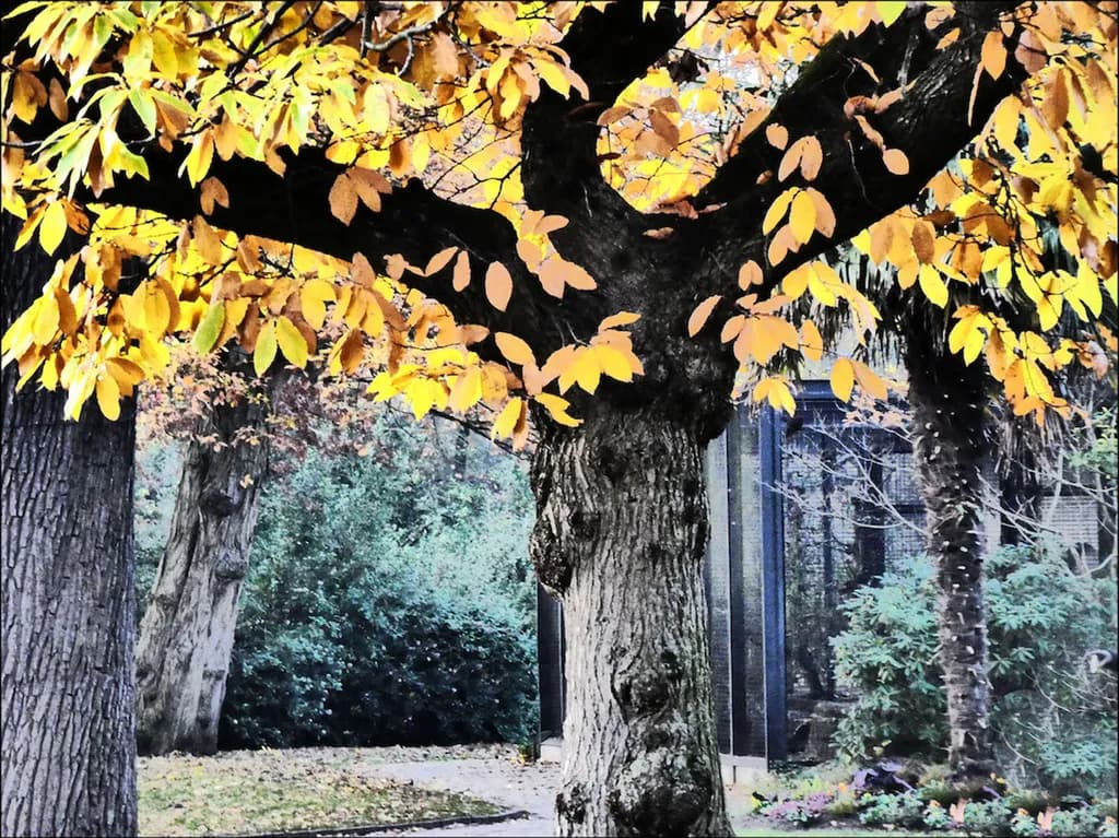 In de tuin van Artis