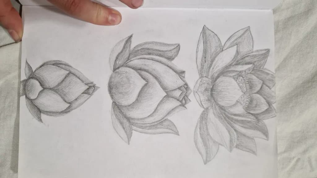 Lotus Evolution