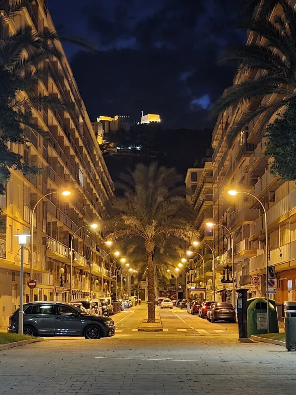 Palm-Lined Street at Night