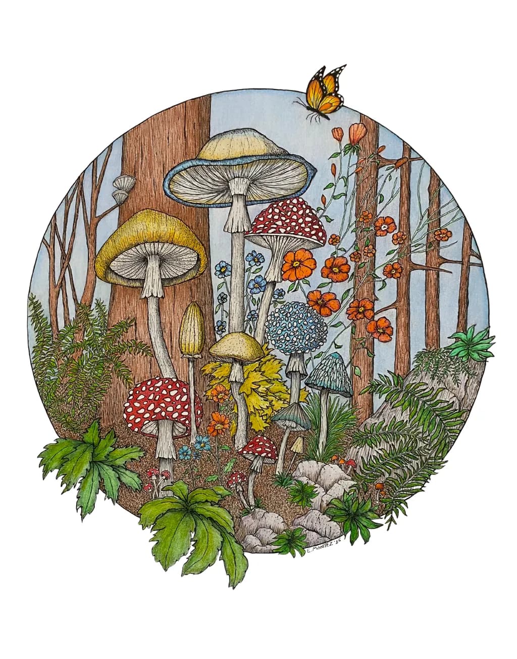 Forest Fungi Harmony