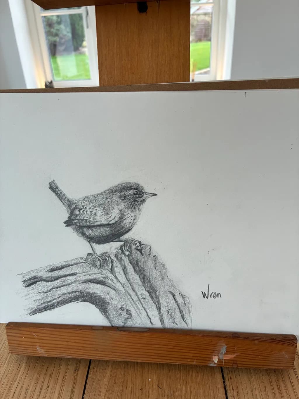 Wren on Branch