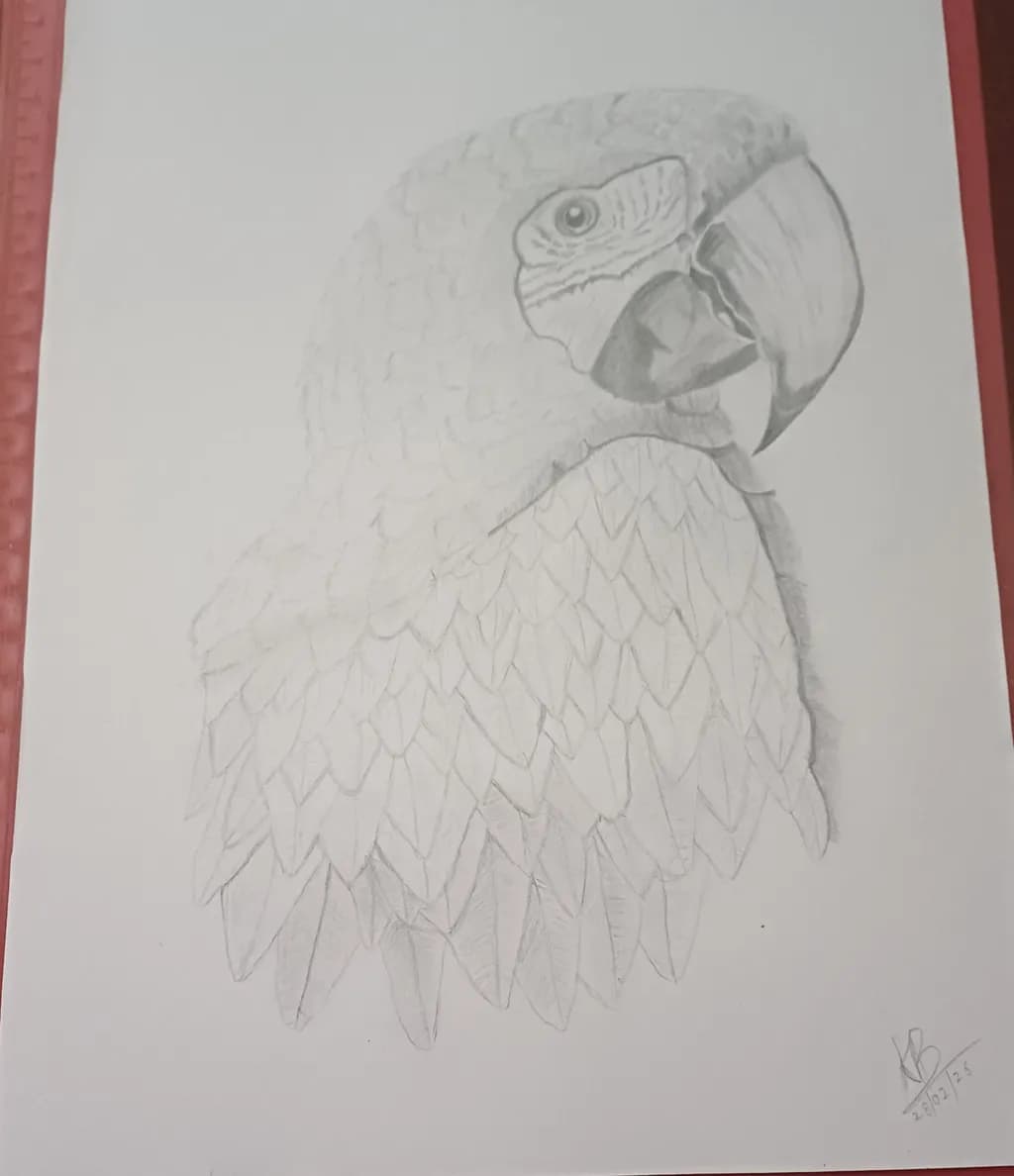 Parrot Profile