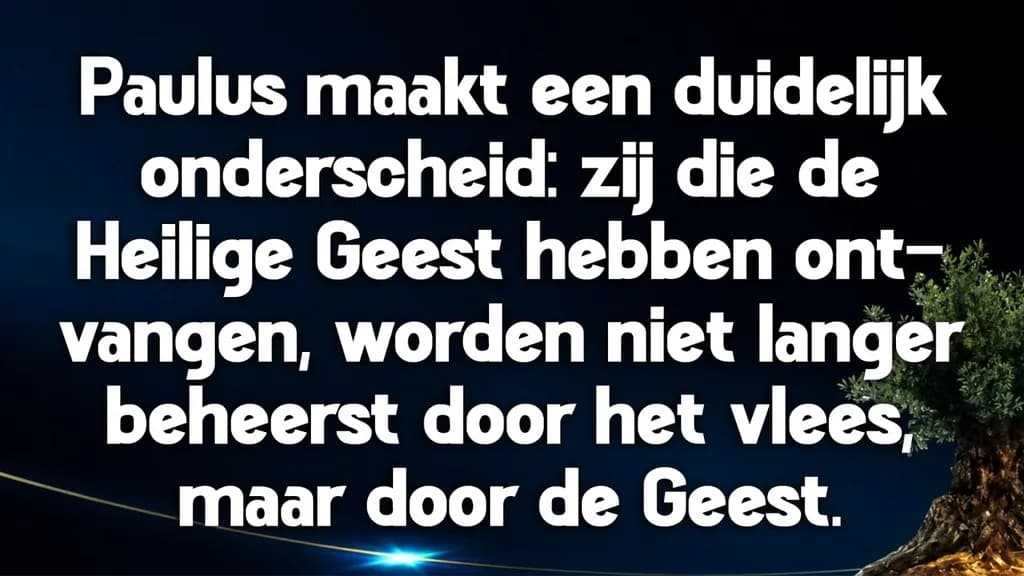 Heilige Geest Distinctie