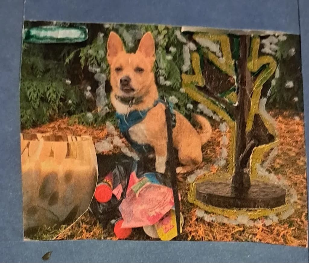 Park Companion