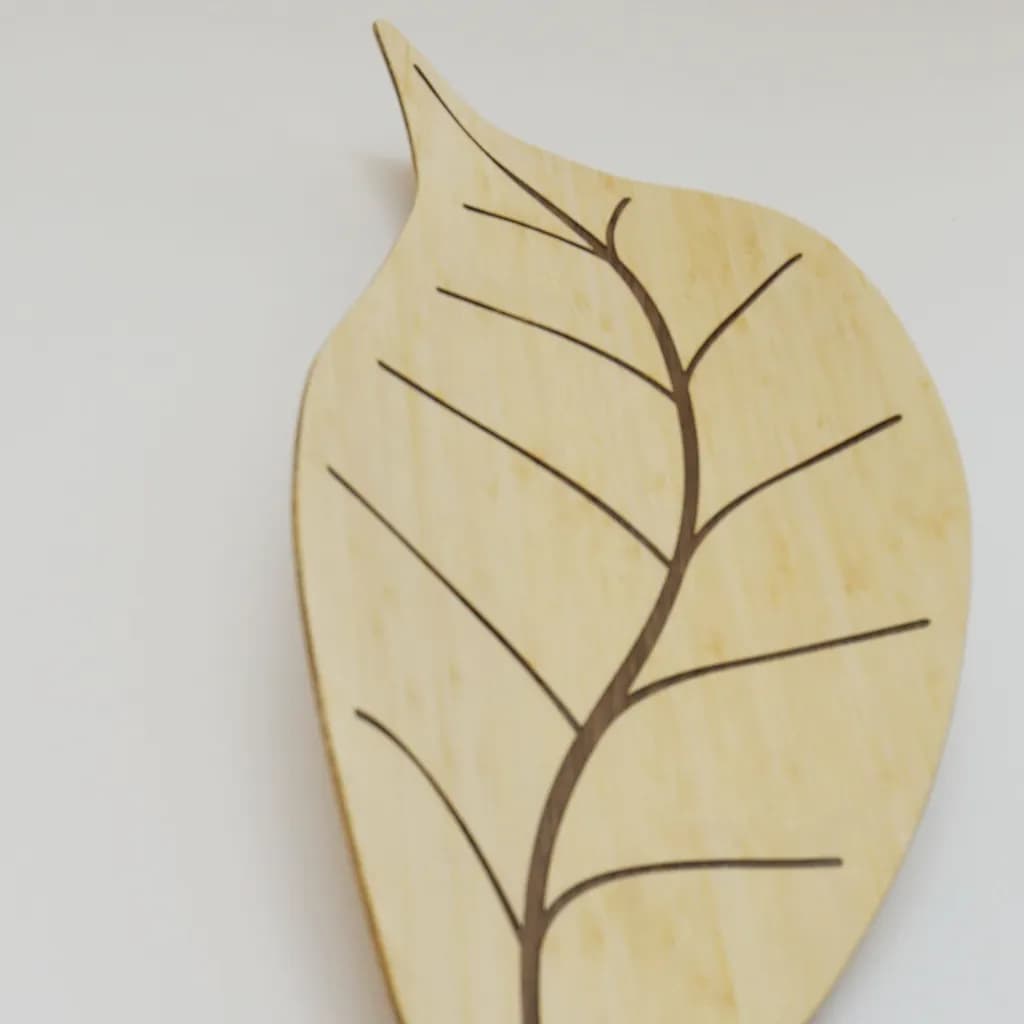 Leaf Outline