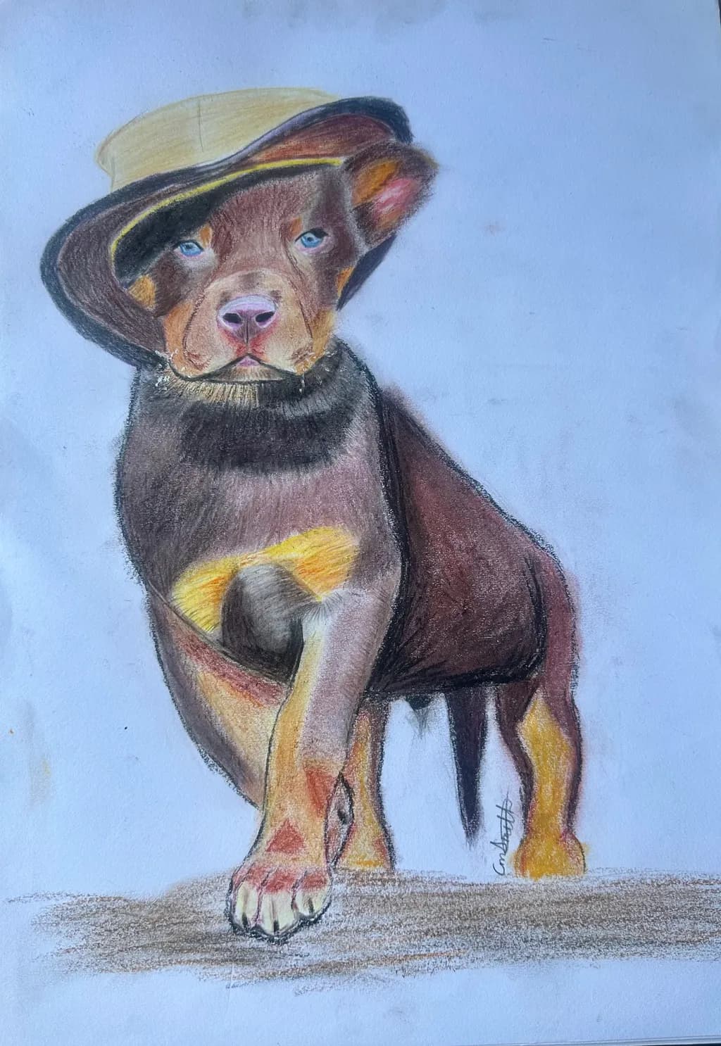 Dapper Pup