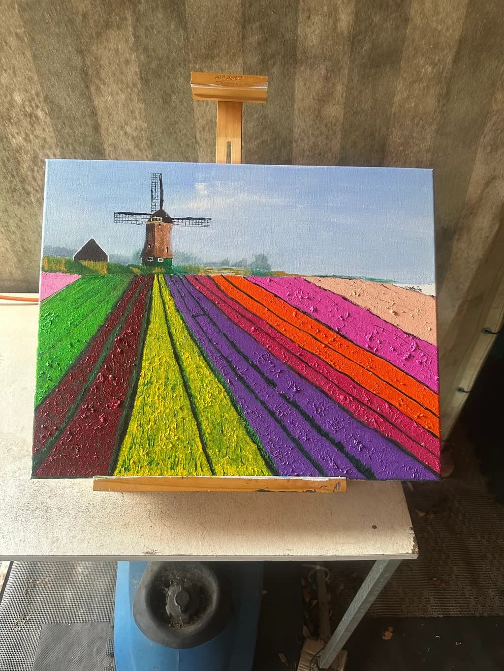 Tulip Fields
