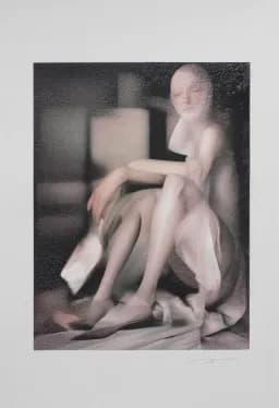 Veiled Contemplation