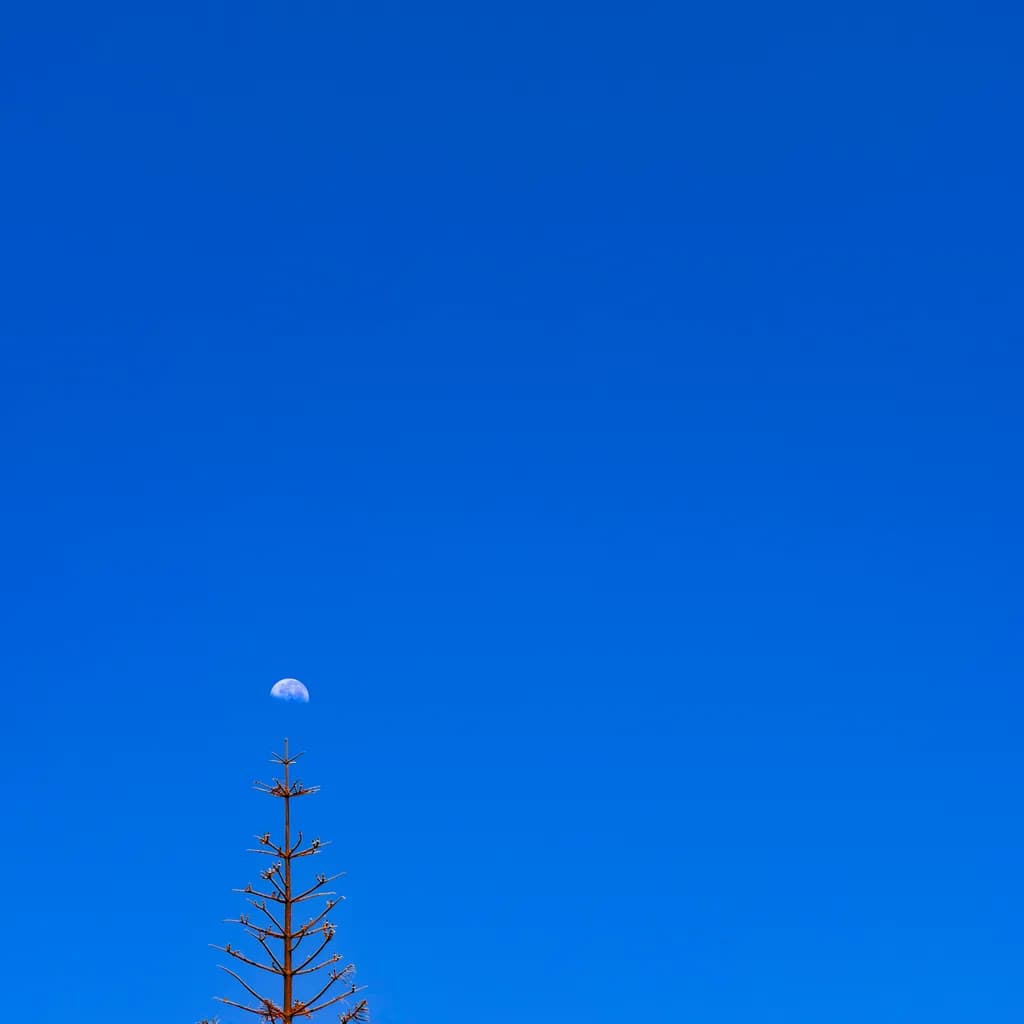 Serendipity