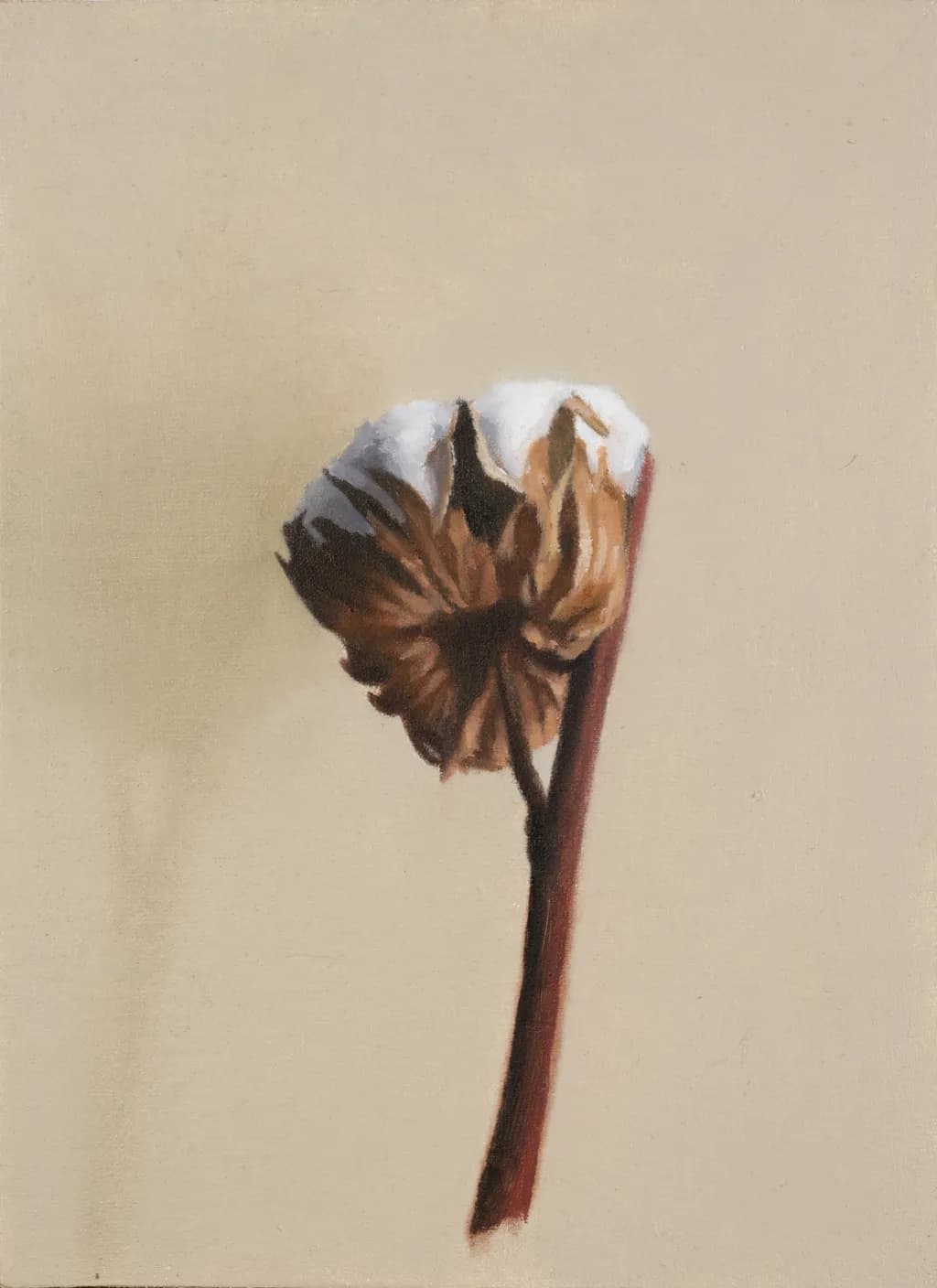 Withered Bloom