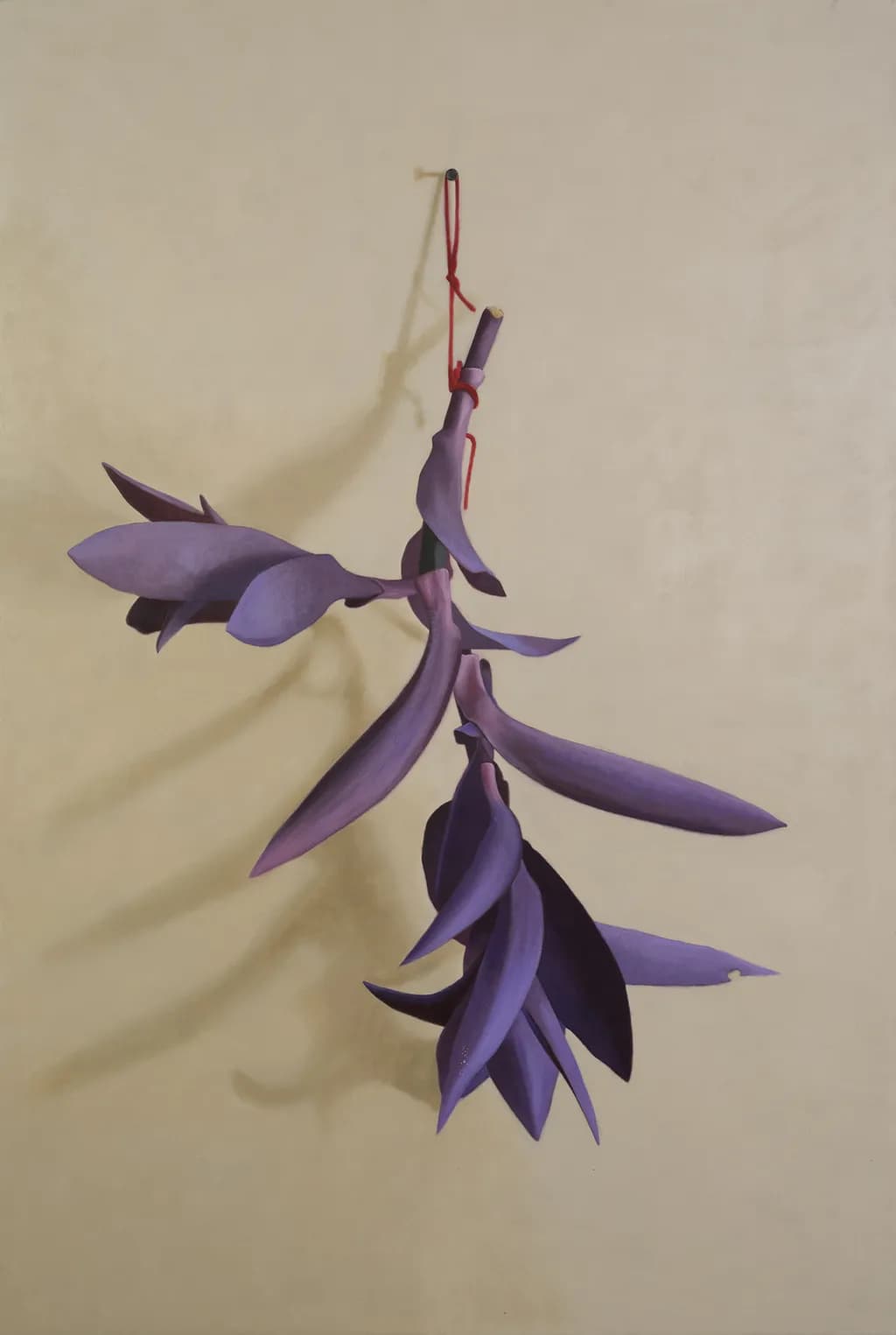 Hanging Violet Leaves