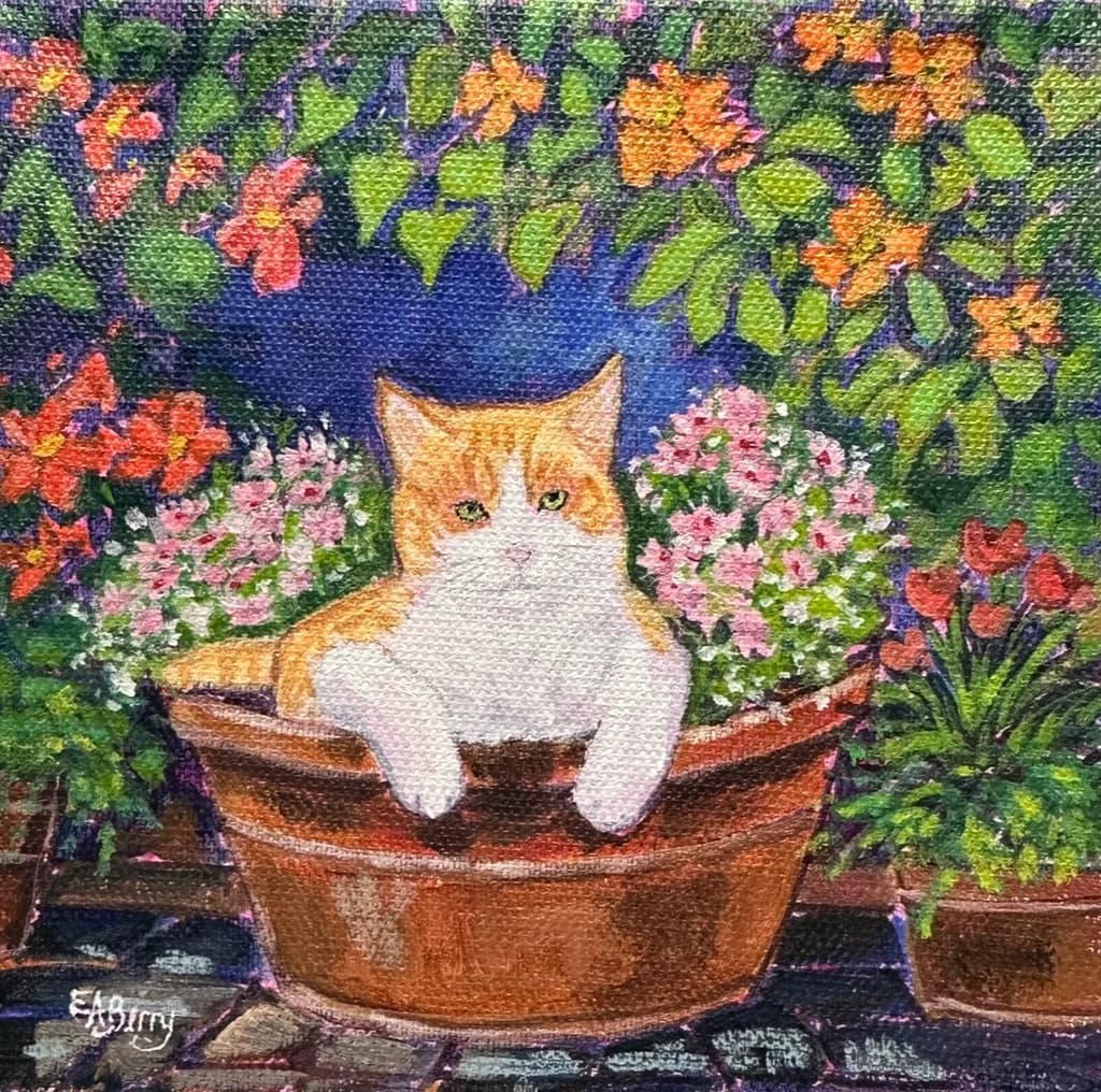 Garden Cat Comfort