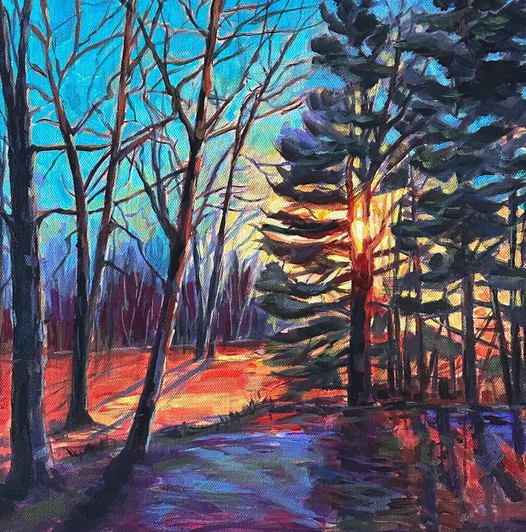 Sunset Through the Forest