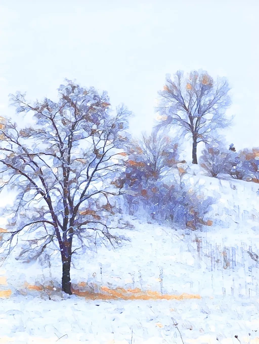 Winter Trees Glow