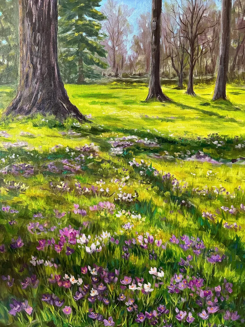 Spring Meadow Glow