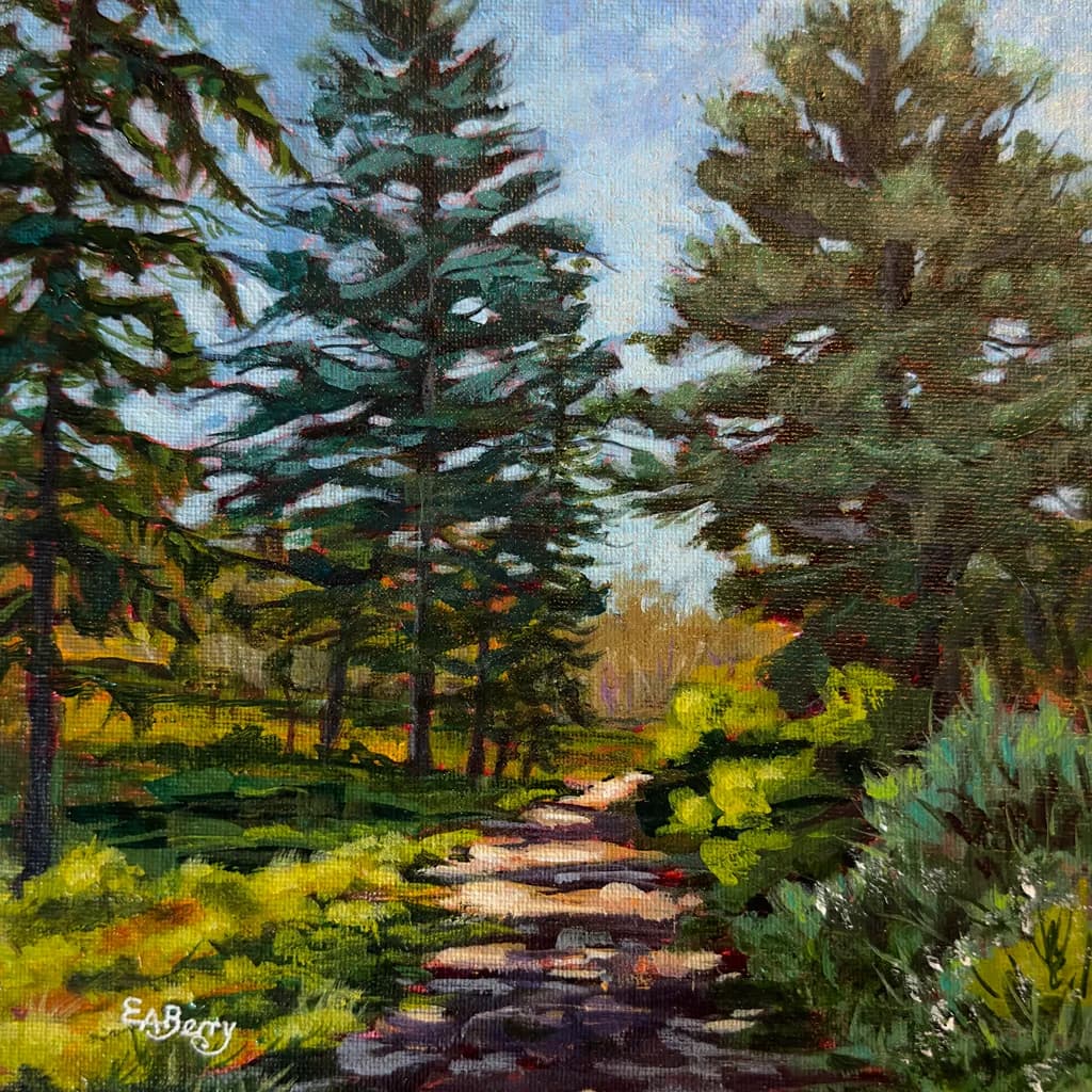 Sunlit Forest Path