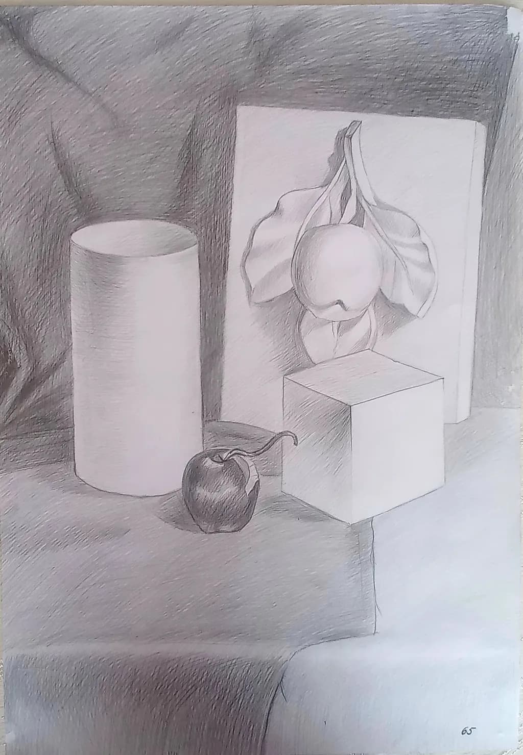 Geometric Apple Study