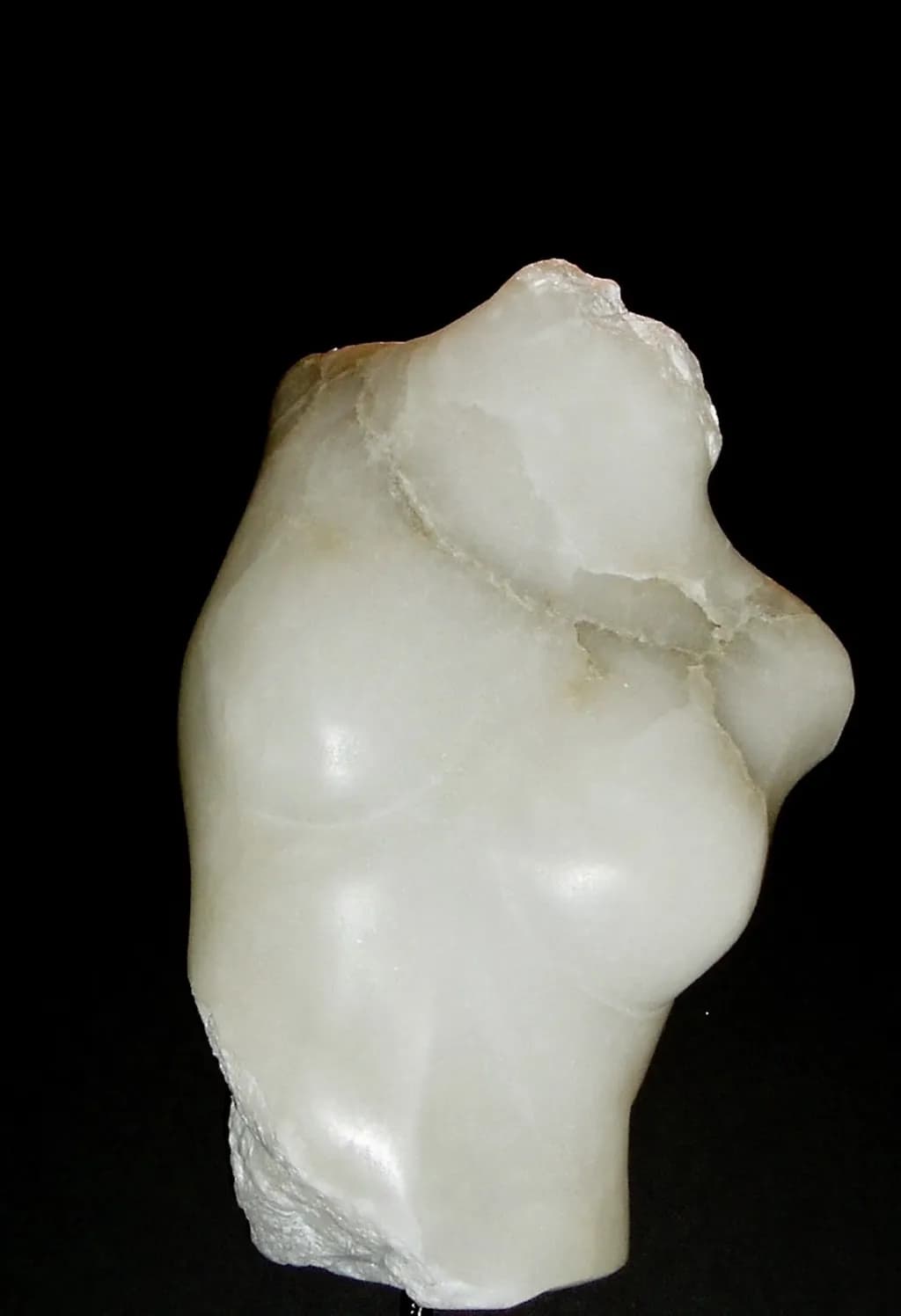 Abstract Torso IV