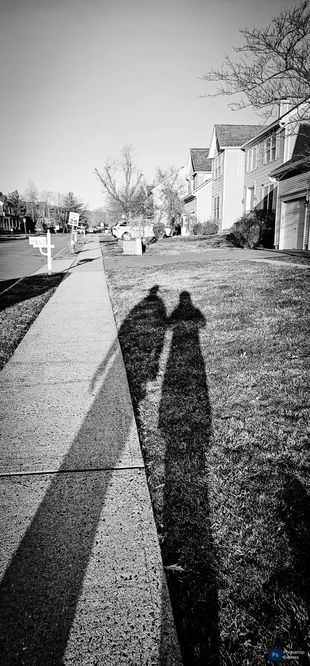 Sidewalk Silhouettes