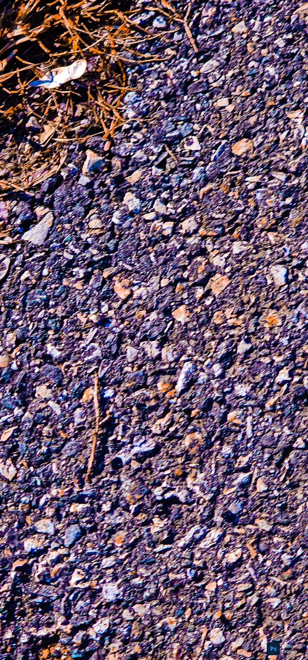 Rough Earth Texture