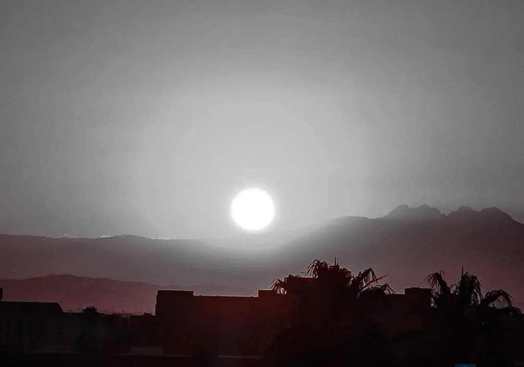 Dusk Silhouette
