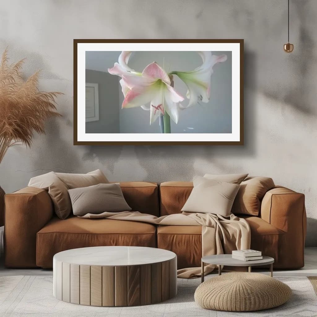 Delicate Amaryllis Bloom
