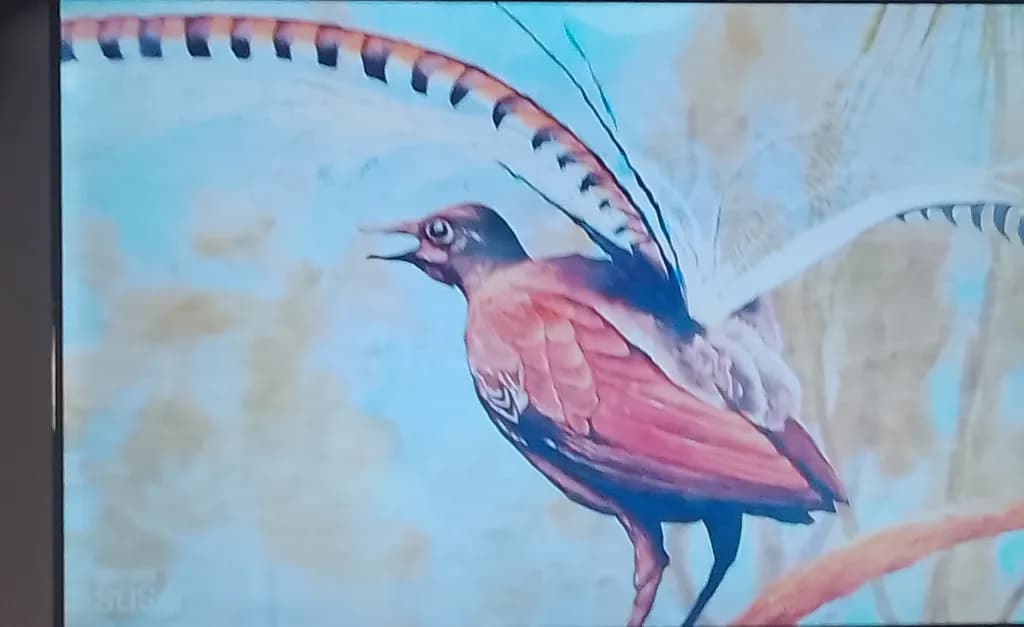 Crimson Bird Song