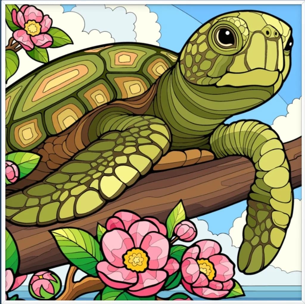 Turtle Bloom