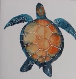 Gliding Shell