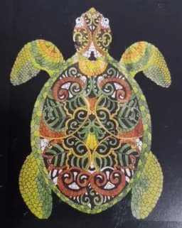 Ornate Sea Turtle