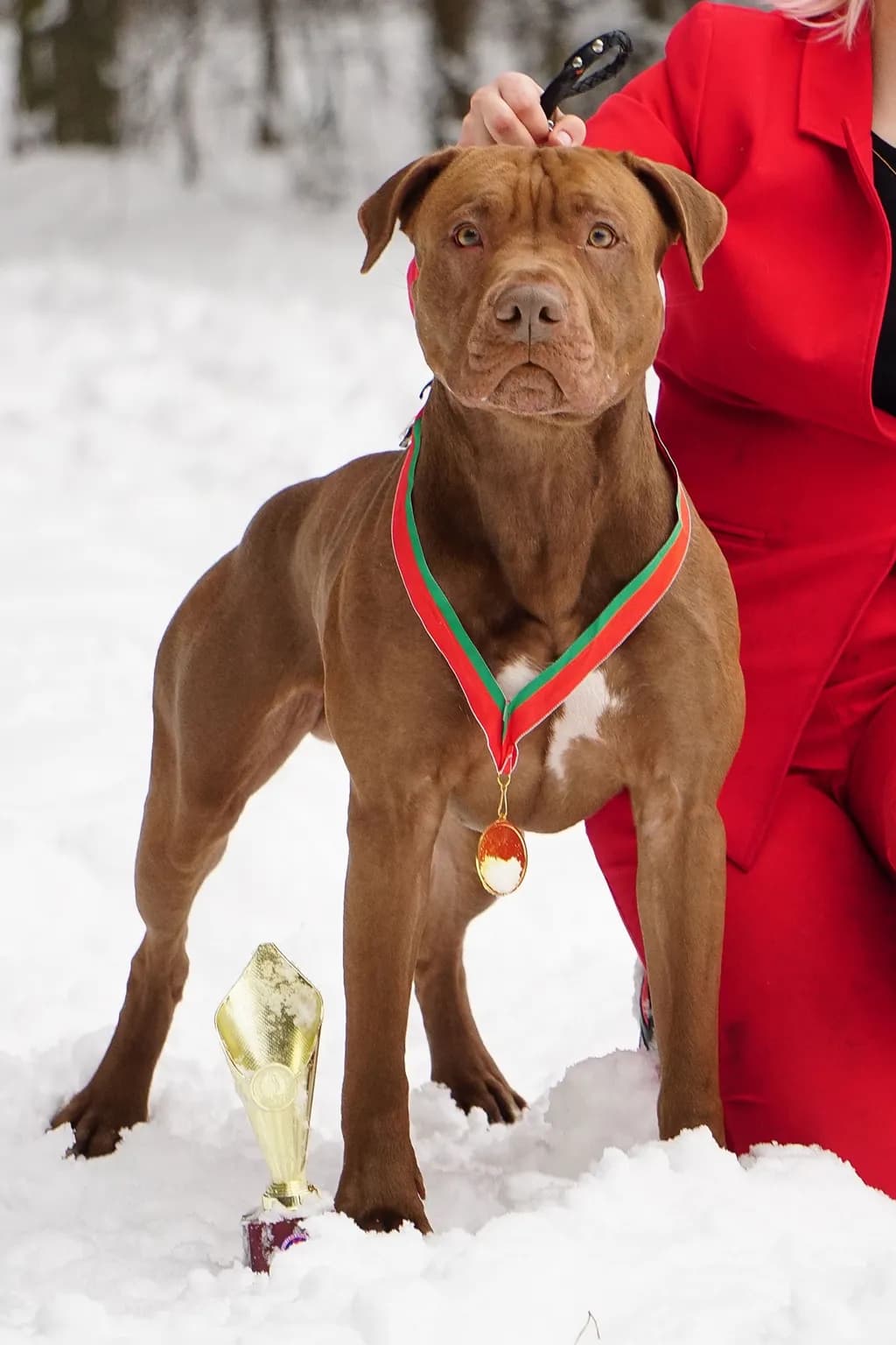Champion in the Snow
