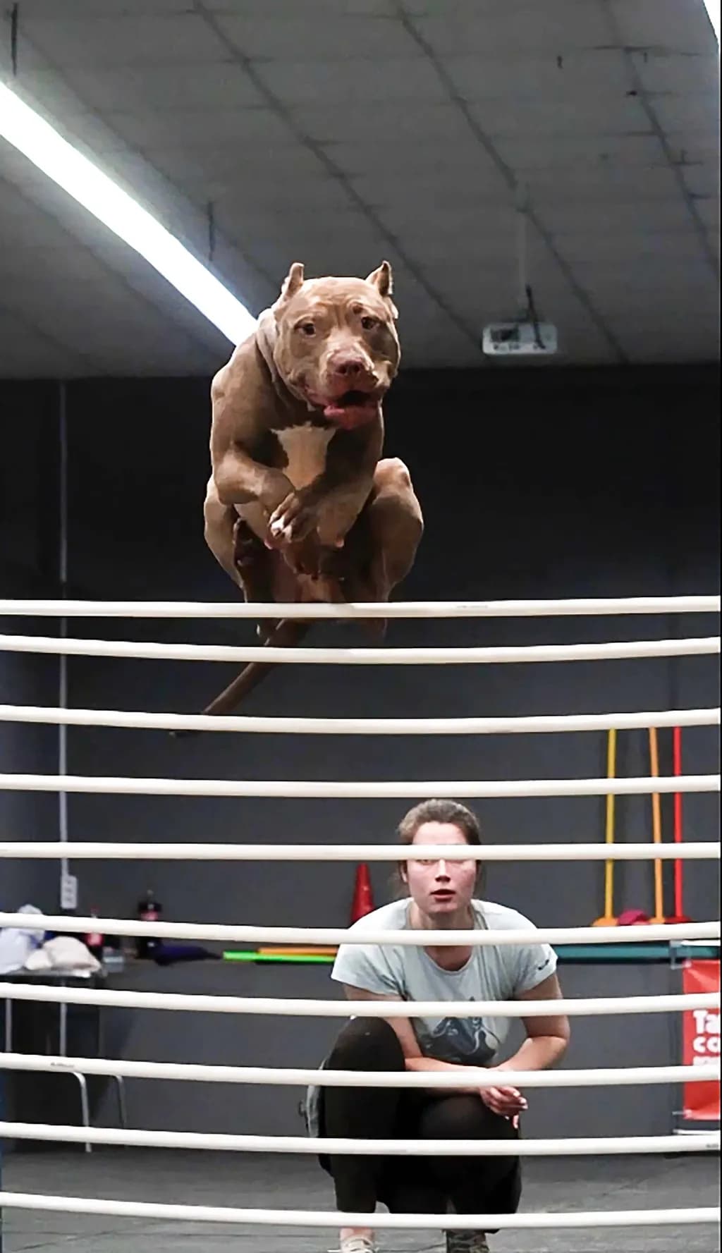 Leaping Focus