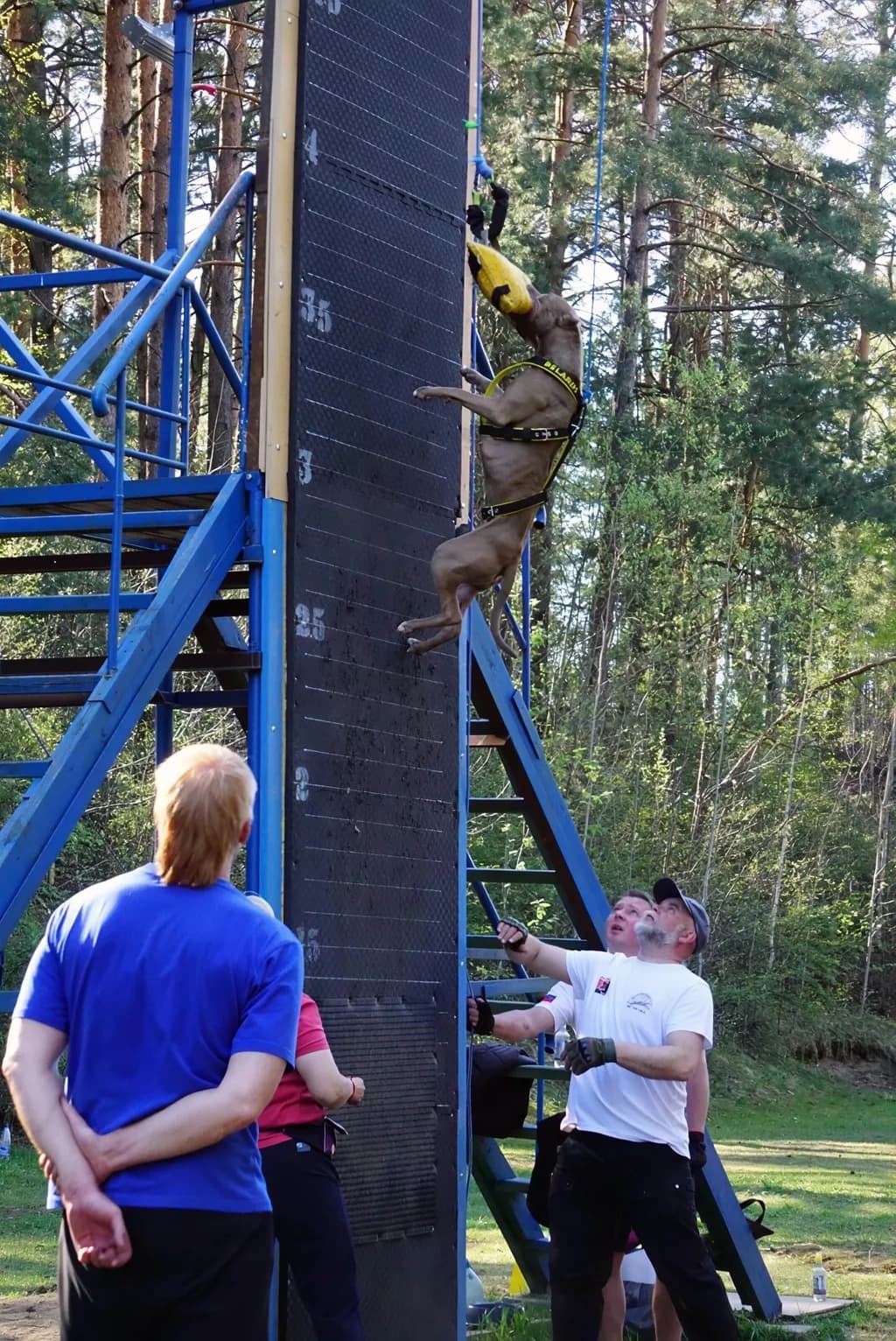 Vertical Agility