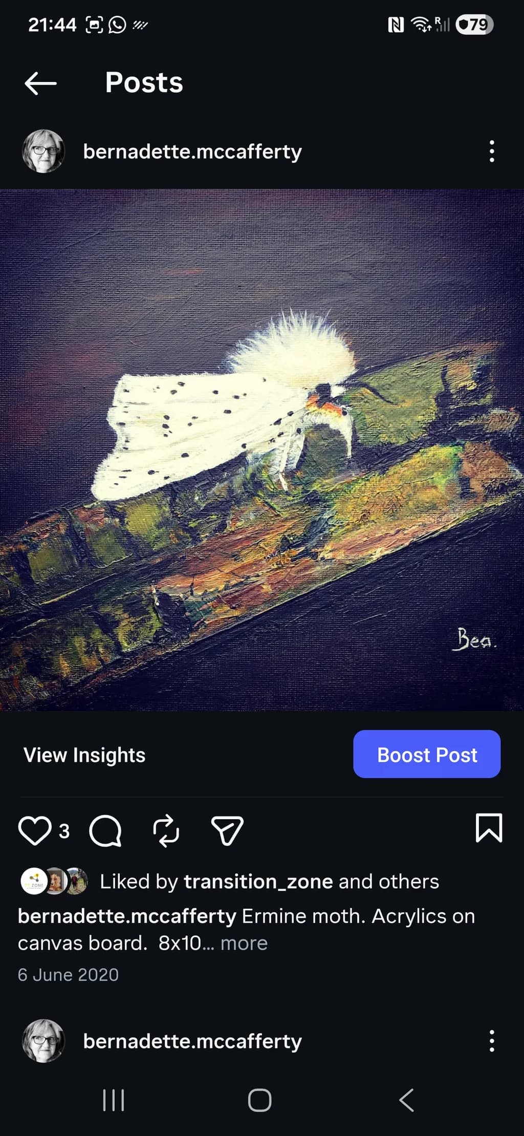 Ermine Resting
